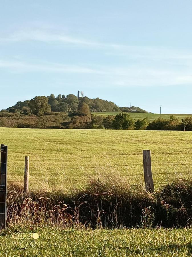 蓬塔穆松Aux Pieds De La Colline De Mousson公寓 外观 照片